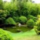 Японский сад на шести сотках