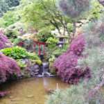 японсикй сад