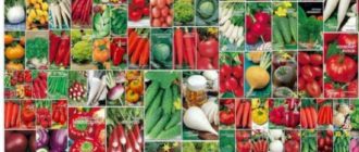 Выбираем семена овощей: сортовые или гибридные?