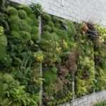 вертикальное озеленение стен