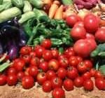 Советы по выращиванию овощей в теплице
